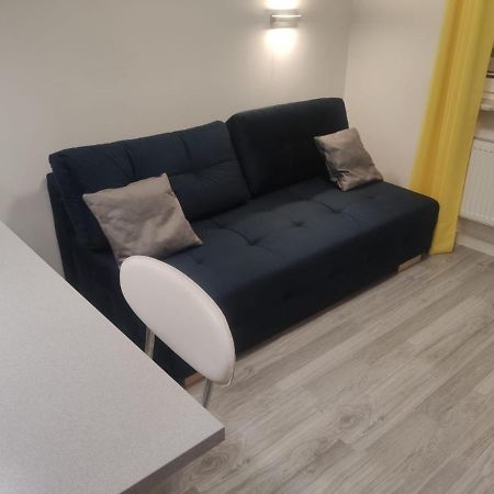 Comfortable Studio Only 20 Minutes From International Conference Center Katowice Best Place For Wuf2022 Eec Tnf Off Etc Siemianowice Śląskie Extérieur photo